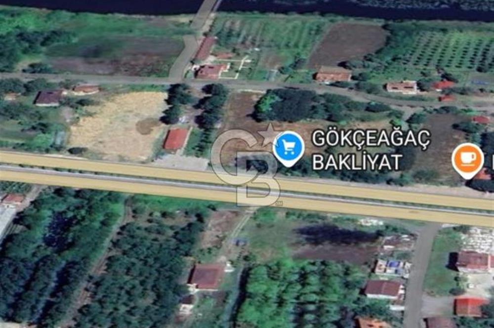 Samsun Termede Ticari/Konut İmarlı 14.000m2 Müstakil Tapulu Arsa