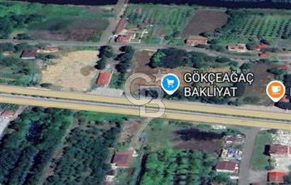 Samsun Termede Ticari/Konut İmarlı 14.000m2 Müstakil Tapulu Arsa