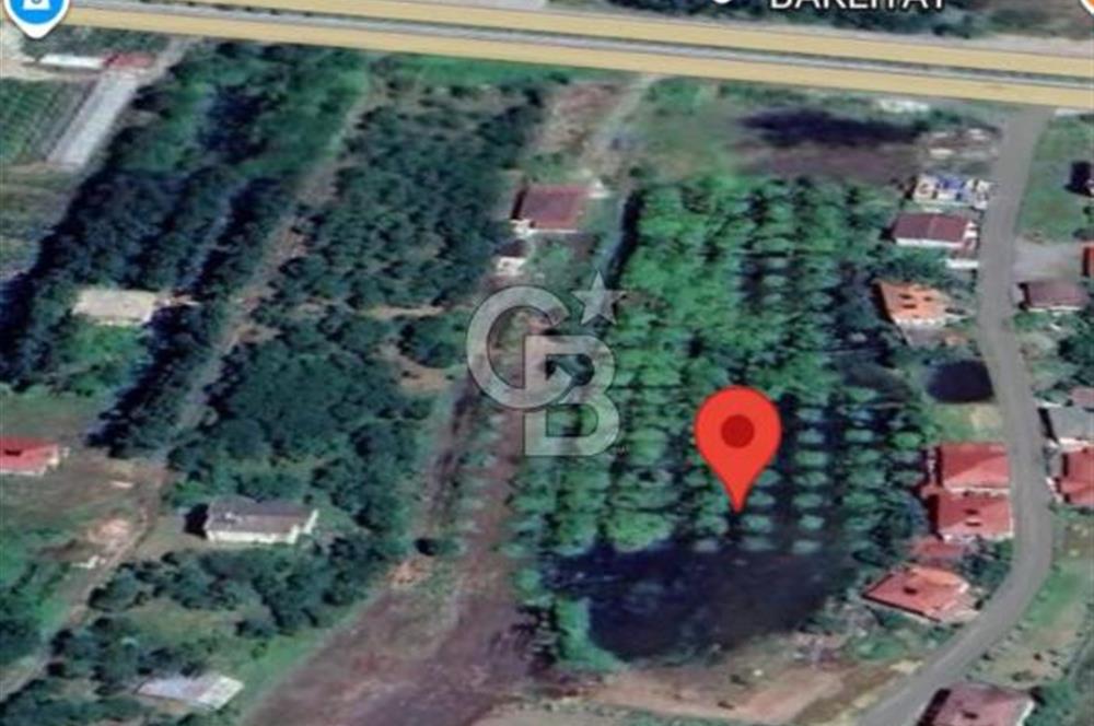 Samsun Termede Ticari/Konut İmarlı 14.000m2 Müstakil Tapulu Arsa