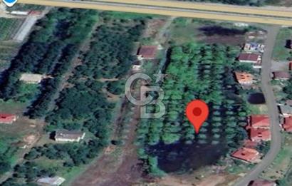 Samsun Termede Ticari/Konut İmarlı 14.000m2 Müstakil Tapulu Arsa