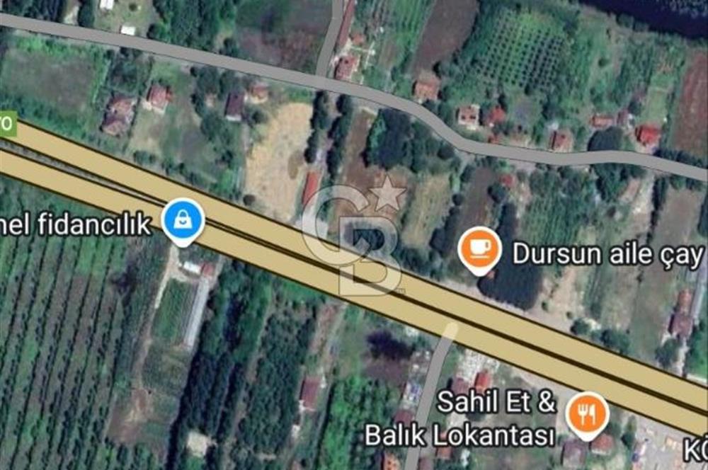 Samsun Termede Ticari/Konut İmarlı 14.000m2 Müstakil Tapulu Arsa