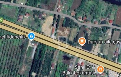 Samsun Termede Ticari/Konut İmarlı 14.000m2 Müstakil Tapulu Arsa