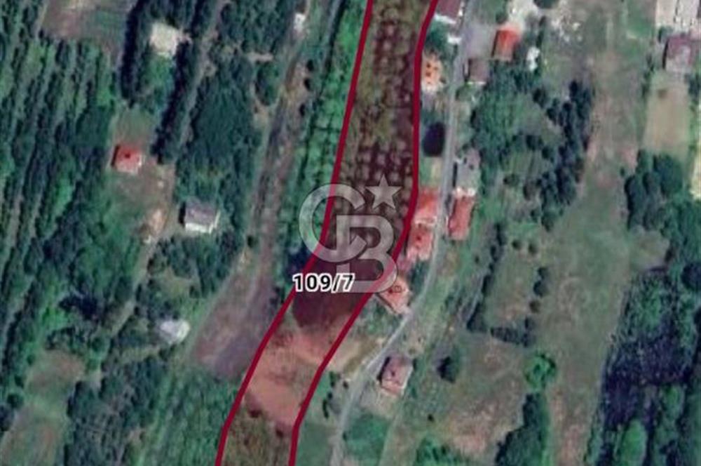 Samsun Termede Ticari/Konut İmarlı 14.000m2 Müstakil Tapulu Arsa