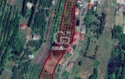 Samsun Termede Ticari/Konut İmarlı 14.000m2 Müstakil Tapulu Arsa