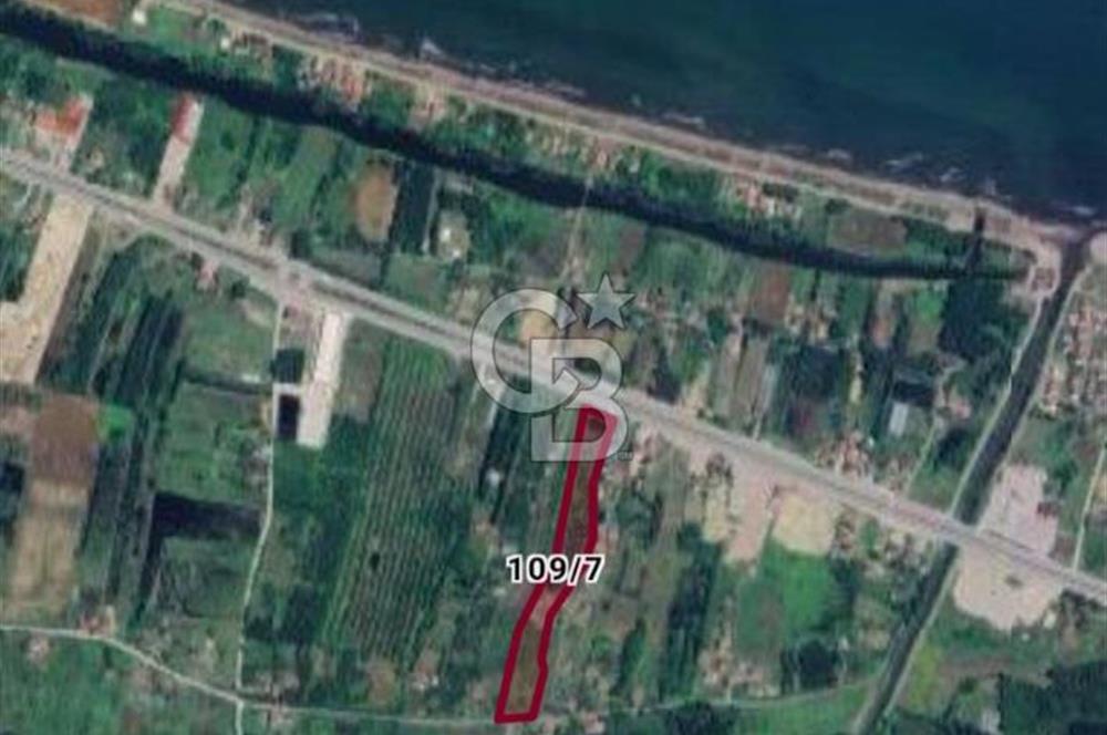 Samsun Termede Ticari/Konut İmarlı 14.000m2 Müstakil Tapulu Arsa