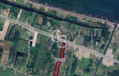 Samsun Termede Ticari/Konut İmarlı 14.000m2 Müstakil Tapulu Arsa