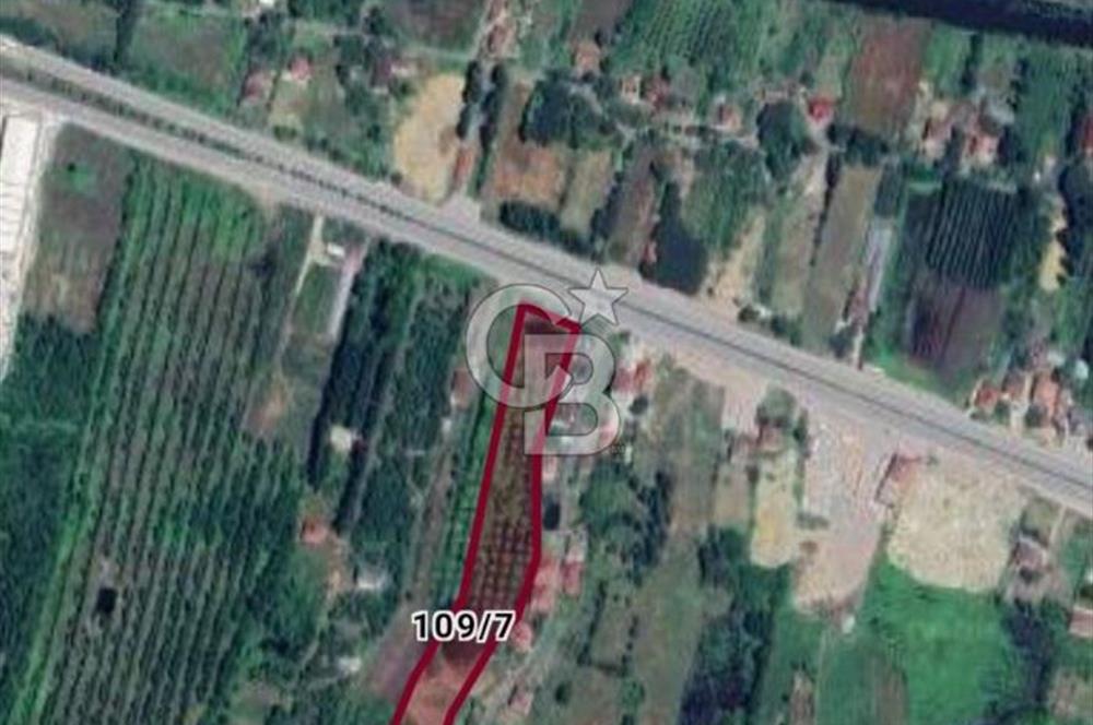 Samsun Termede Ticari/Konut İmarlı 14.000m2 Müstakil Tapulu Arsa