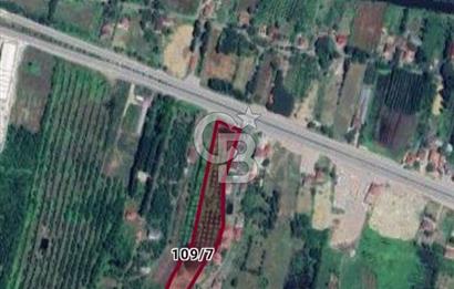 Samsun Termede Ticari/Konut İmarlı 14.000m2 Müstakil Tapulu Arsa