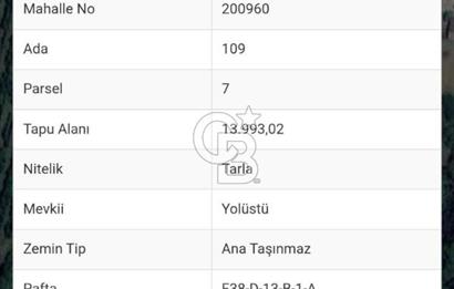 Samsun Termede Ticari/Konut İmarlı 14.000m2 Müstakil Tapulu Arsa