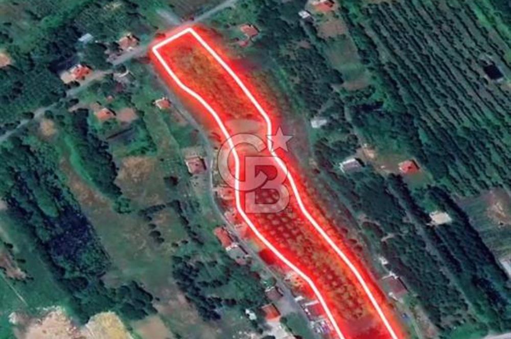 Samsun Termede Ticari/Konut İmarlı 14.000m2 Müstakil Tapulu Arsa
