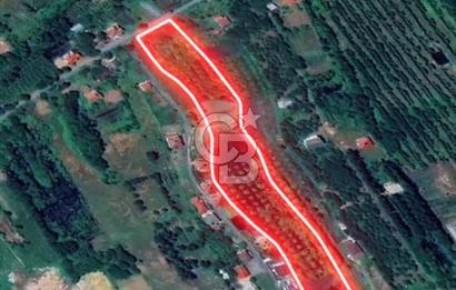 Samsun Termede Ticari/Konut İmarlı 14.000m2 Müstakil Tapulu Arsa