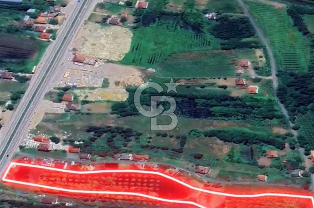 Samsun Termede Ticari/Konut İmarlı 14.000m2 Müstakil Tapulu Arsa