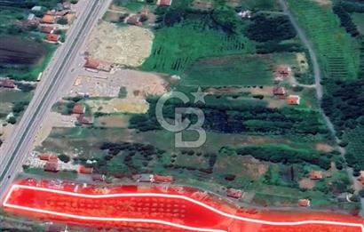 Samsun Termede Ticari/Konut İmarlı 14.000m2 Müstakil Tapulu Arsa