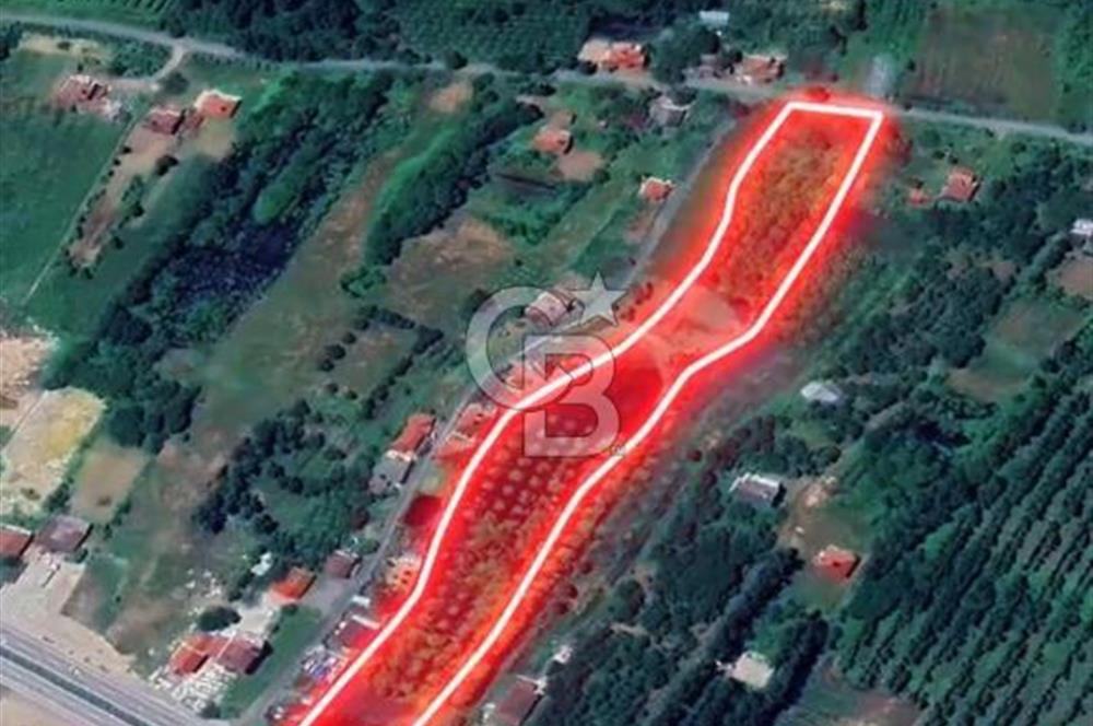 Samsun Termede Ticari/Konut İmarlı 14.000m2 Müstakil Tapulu Arsa
