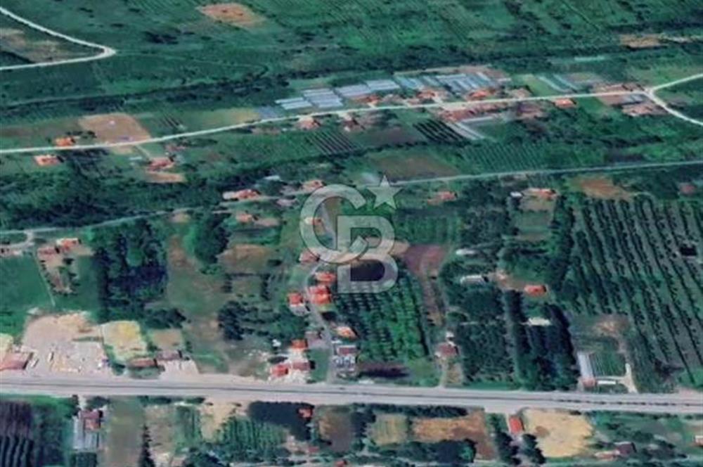 Samsun Termede Ticari/Konut İmarlı 14.000m2 Müstakil Tapulu Arsa