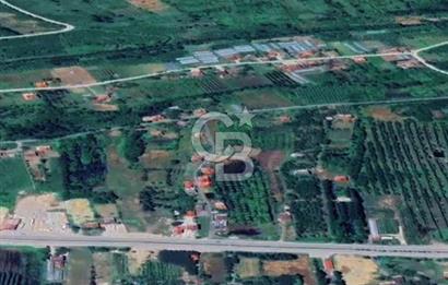 Samsun Termede Ticari/Konut İmarlı 14.000m2 Müstakil Tapulu Arsa