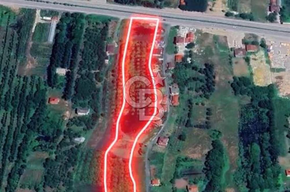 Samsun Termede Ticari/Konut İmarlı 14.000m2 Müstakil Tapulu Arsa