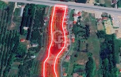 Samsun Termede Ticari/Konut İmarlı 14.000m2 Müstakil Tapulu Arsa