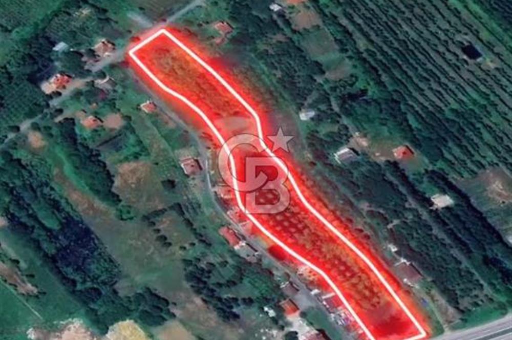 Samsun Termede Ticari/Konut İmarlı 14.000m2 Müstakil Tapulu Arsa
