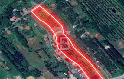 Samsun Termede Ticari/Konut İmarlı 14.000m2 Müstakil Tapulu Arsa