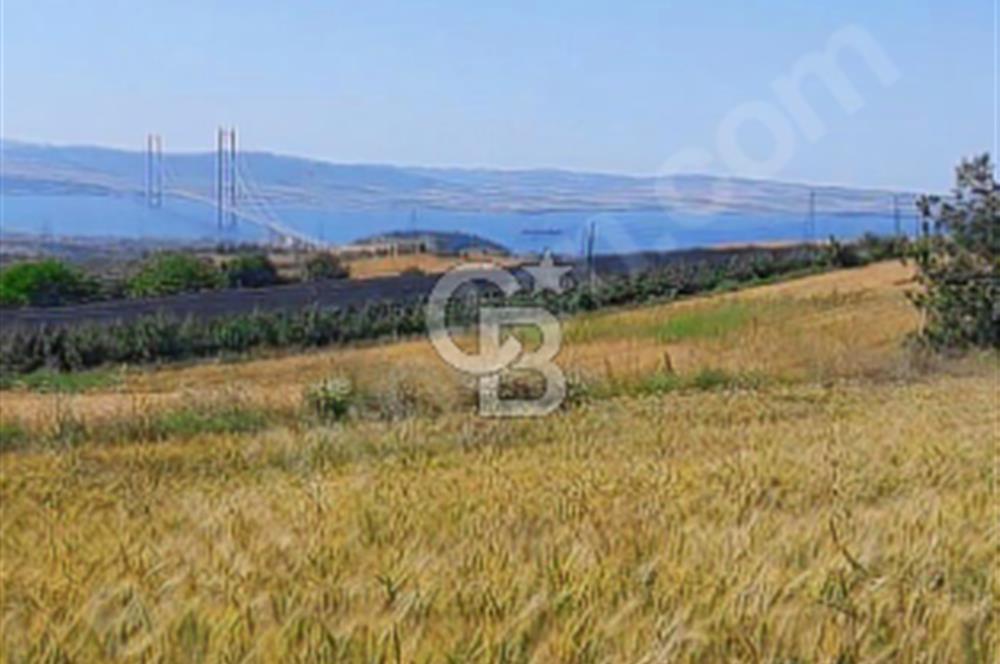 ÇANAKKALE/LAPSEKİ "KOCAVELİ'DE"MUHTEŞEM DENİZ&KÖPRÜ MANZARALI.