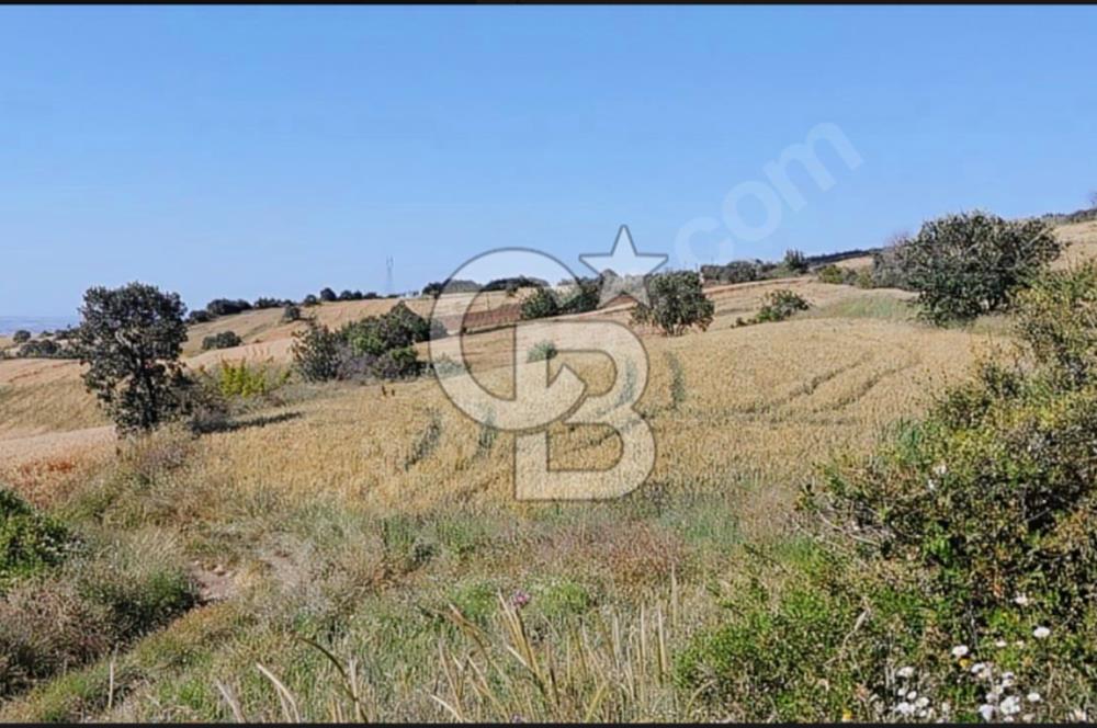 ÇANAKKALE/LAPSEKİ "KOCAVELİ'DE"MUHTEŞEM DENİZ&KÖPRÜ MANZARALI.