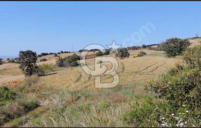 ÇANAKKALE/LAPSEKİ "KOCAVELİ'DE"MUHTEŞEM DENİZ&KÖPRÜ MANZARALI.