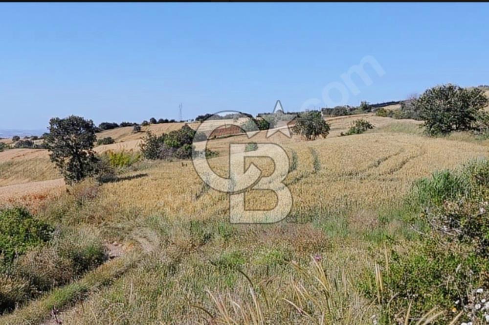 ÇANAKKALE/LAPSEKİ "KOCAVELİ'DE"MUHTEŞEM DENİZ&KÖPRÜ MANZARALI.