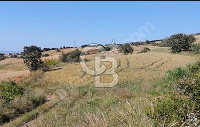 ÇANAKKALE/LAPSEKİ "KOCAVELİ'DE"MUHTEŞEM DENİZ&KÖPRÜ MANZARALI.