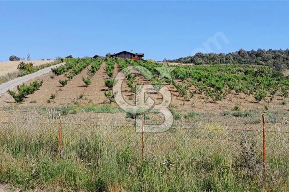 ÇANAKKALE/LAPSEKİ "KOCAVELİ'DE"MUHTEŞEM DENİZ&KÖPRÜ MANZARALI.