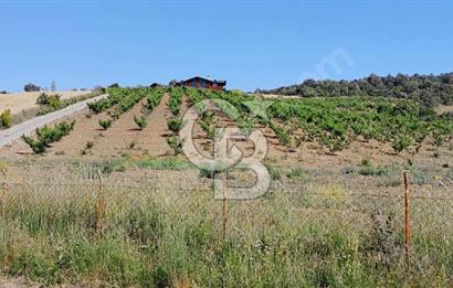 ÇANAKKALE/LAPSEKİ "KOCAVELİ'DE"MUHTEŞEM DENİZ&KÖPRÜ MANZARALI.