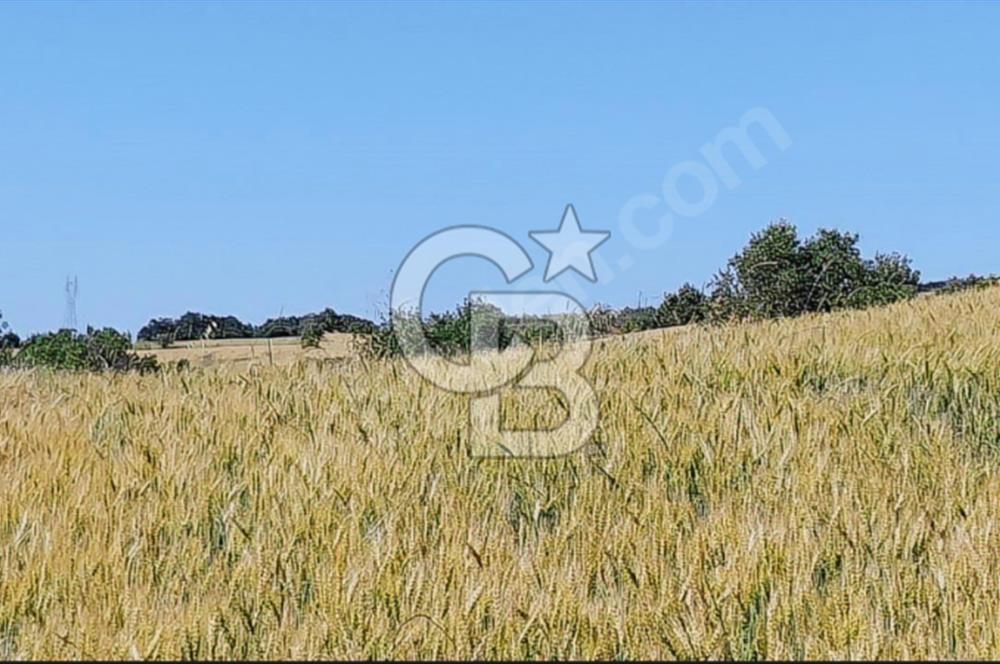 ÇANAKKALE/LAPSEKİ "KOCAVELİ'DE"MUHTEŞEM DENİZ&KÖPRÜ MANZARALI.