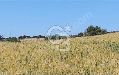 ÇANAKKALE/LAPSEKİ "KOCAVELİ'DE"MUHTEŞEM DENİZ&KÖPRÜ MANZARALI.