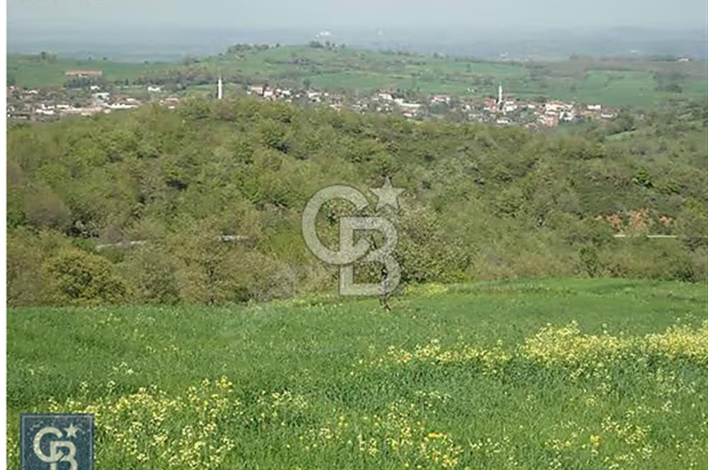 EN ÇOK SATAN BİGA'DAN RESMİ YOLA CEPHELİ 5000M2 ARAZİ.