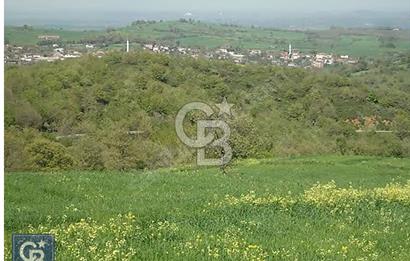 EN ÇOK SATAN BİGA'DAN RESMİ YOLA CEPHELİ 5000M2 ARAZİ.