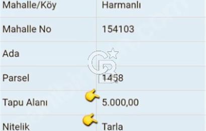 EN ÇOK SATAN BİGA'DAN RESMİ YOLA CEPHELİ 5000M2 ARAZİ.