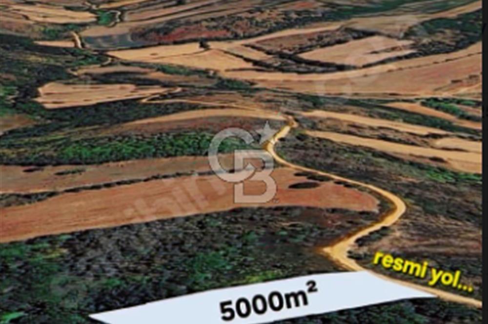 EN ÇOK SATAN BİGA'DAN RESMİ YOLA CEPHELİ 5000M2 ARAZİ.