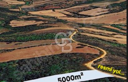 EN ÇOK SATAN BİGA'DAN RESMİ YOLA CEPHELİ 5000M2 ARAZİ.