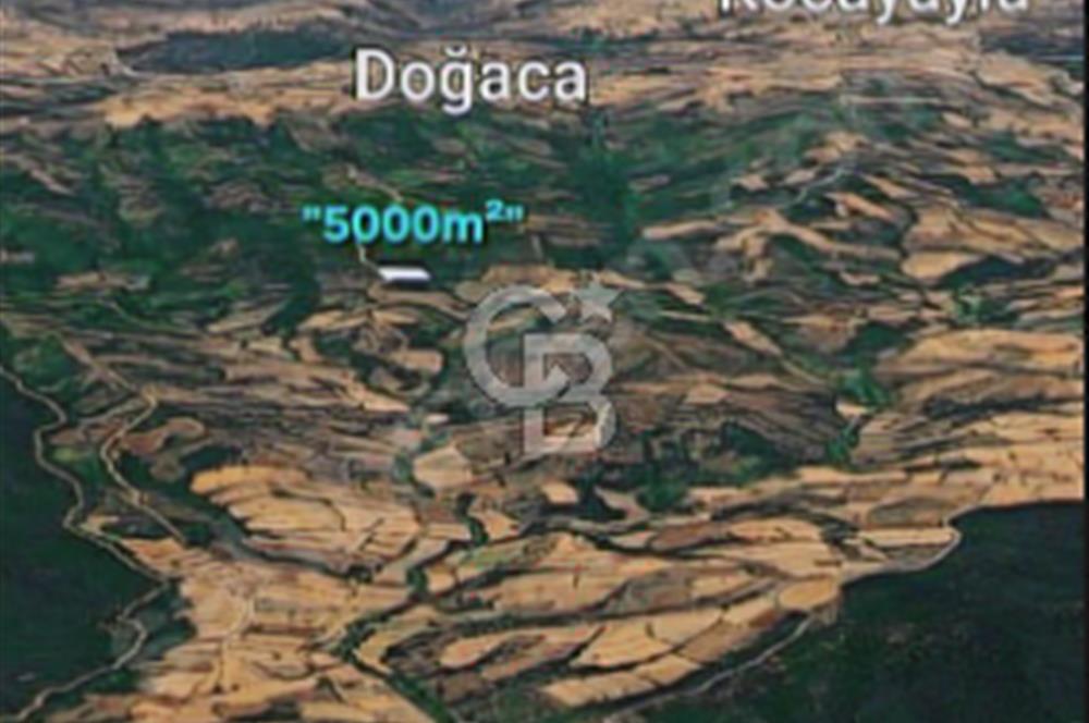 EN ÇOK SATAN BİGA'DAN RESMİ YOLA CEPHELİ 5000M2 ARAZİ.