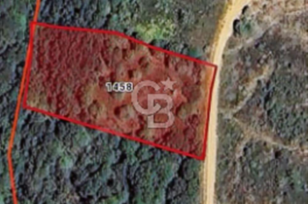 EN ÇOK SATAN BİGA'DAN RESMİ YOLA CEPHELİ 5000M2 ARAZİ.