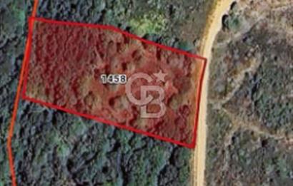 EN ÇOK SATAN BİGA'DAN RESMİ YOLA CEPHELİ 5000M2 ARAZİ.