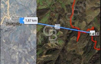EN ÇOK SATAN BİGA'DAN RESMİ YOLA CEPHELİ 5000M2 ARAZİ.