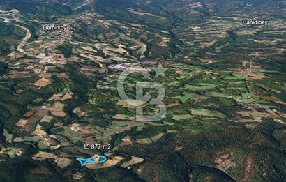 DEMİRKÖY DE 15 DÖNÜM EKO TURİZM RUHSATI ALINABİLİR ARSA