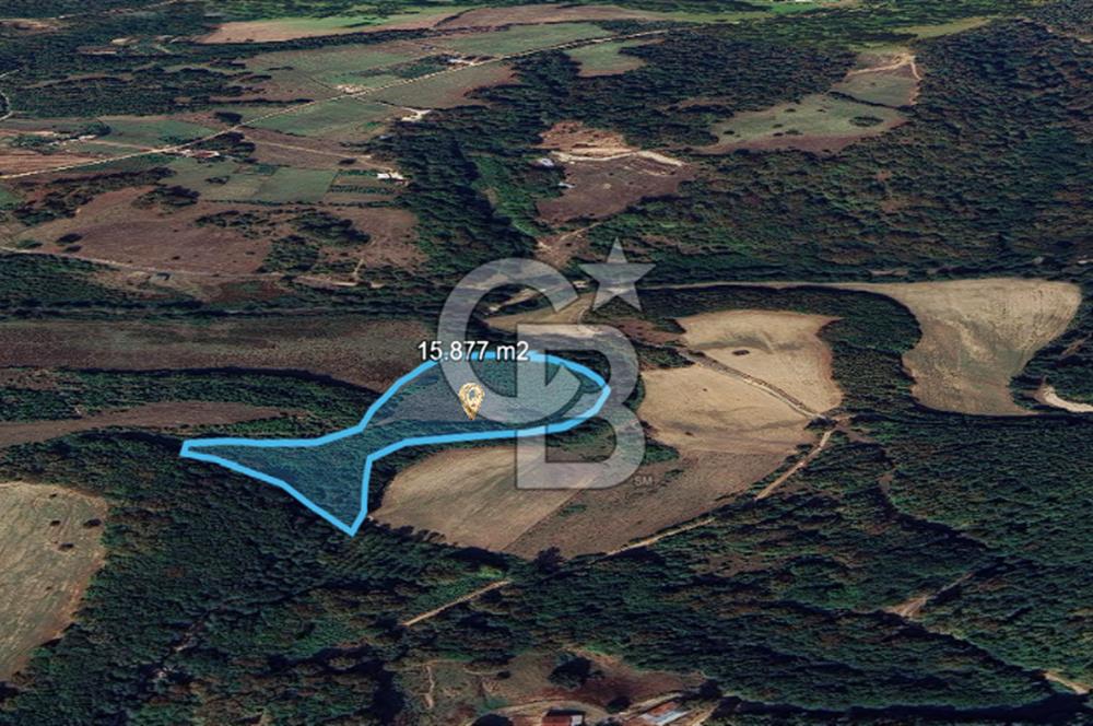 DEMİRKÖY DE 15 DÖNÜM EKO TURİZM RUHSATI ALINABİLİR ARSA