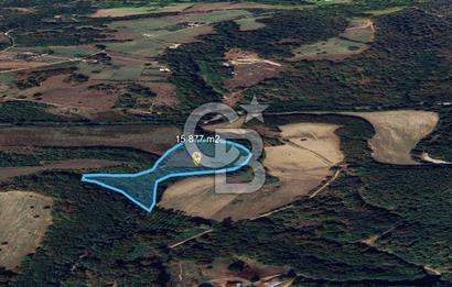 DEMİRKÖY DE 15 DÖNÜM EKO TURİZM RUHSATI ALINABİLİR ARSA