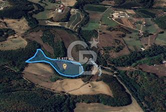 DEMİRKÖY DE 15 DÖNÜM EKO TURİZM RUHSATI ALINABİLİR ARSA - 3 - 323218