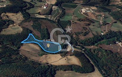 DEMİRKÖY DE 15 DÖNÜM EKO TURİZM RUHSATI ALINABİLİR ARSA