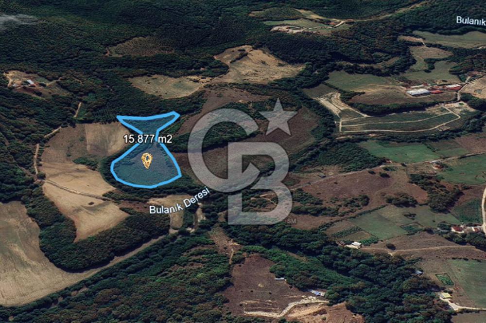 DEMİRKÖY DE 15 DÖNÜM EKO TURİZM RUHSATI ALINABİLİR ARSA