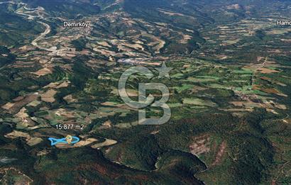 DEMİRKÖY DE 15 DÖNÜM EKO TURİZM RUHSATI ALINABİLİR ARSA