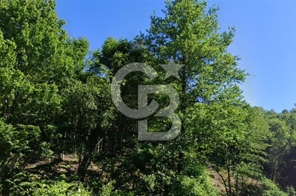 DEMİRKÖY DE 15 DÖNÜM EKO TURİZM RUHSATI ALINABİLİR ARSA